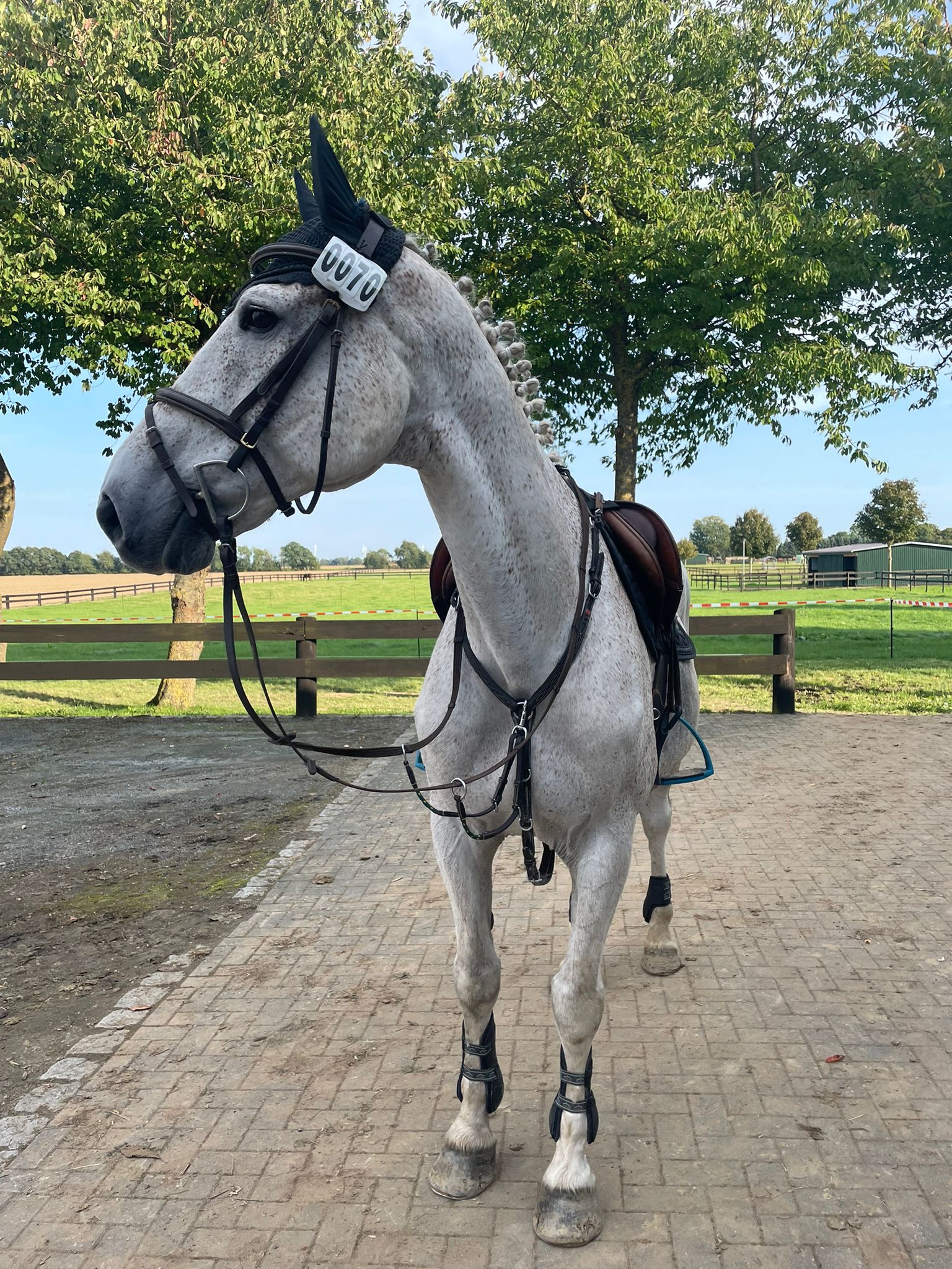 Homepage_Impressionen_016