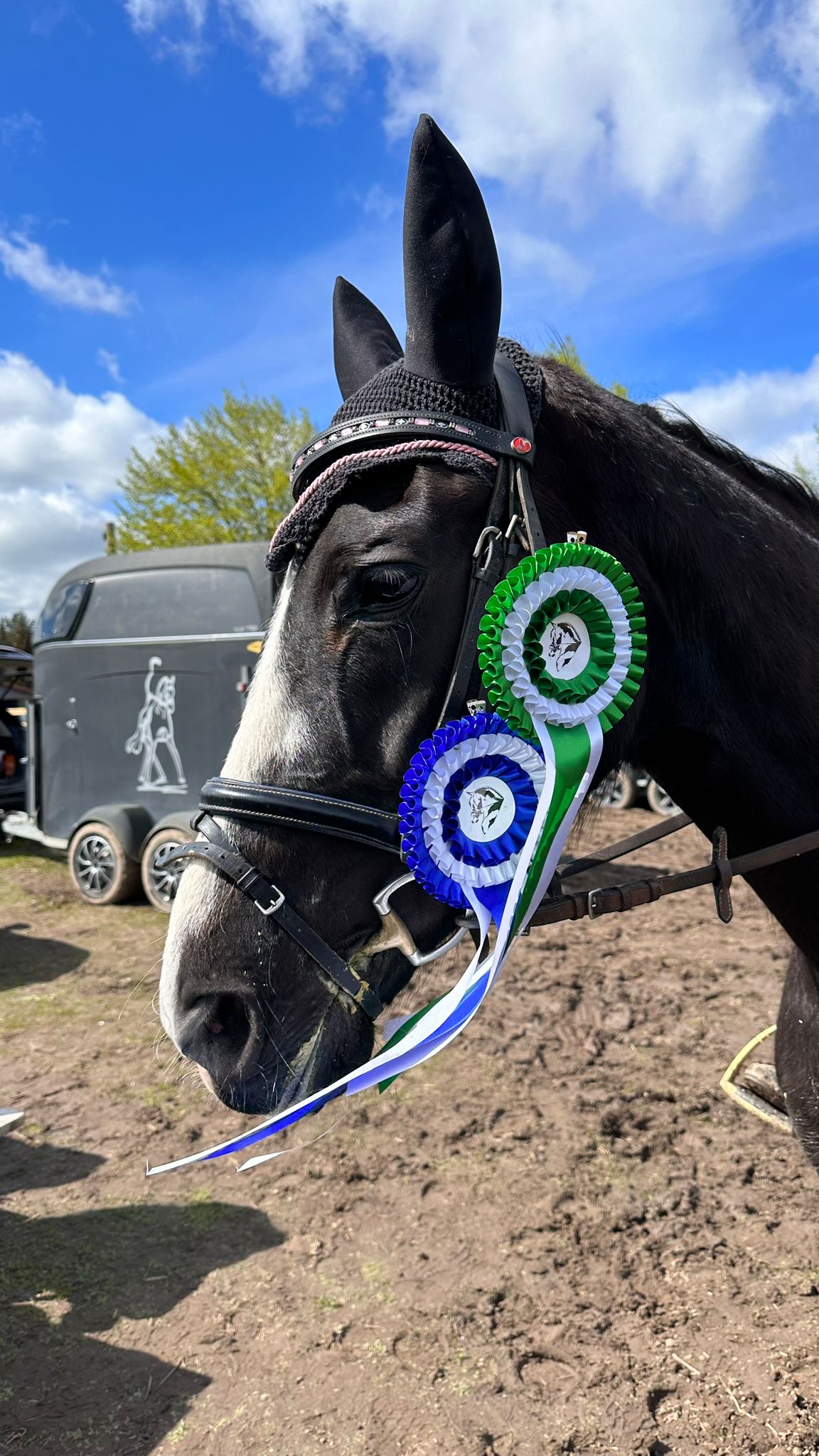 Homepage_Impressionen_024